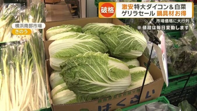 ハクサイ1玉214円