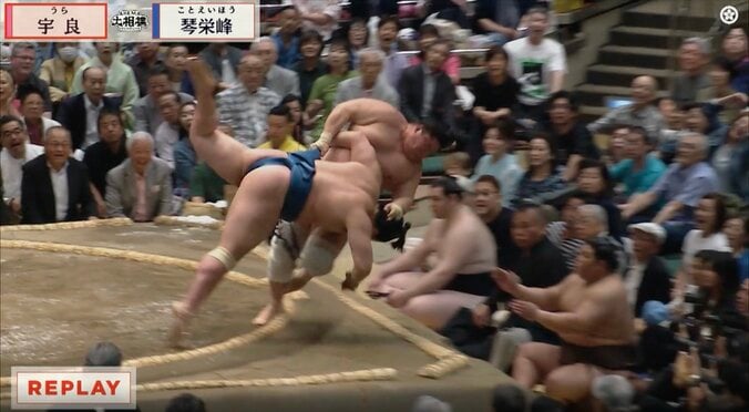 “土俵際のマジシャン”宇良、客席へ突っ込むも伯乃富士が受け止める 「キャッチした」「助けてくれた」予想外の光景に反響 2枚目
