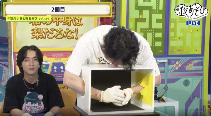 「蜜柑農家之孫」安元洋貴，在梨子問答中創下了驚人的正確率！他對一顆超過3,000日圓的高級梨子有什麼感想？