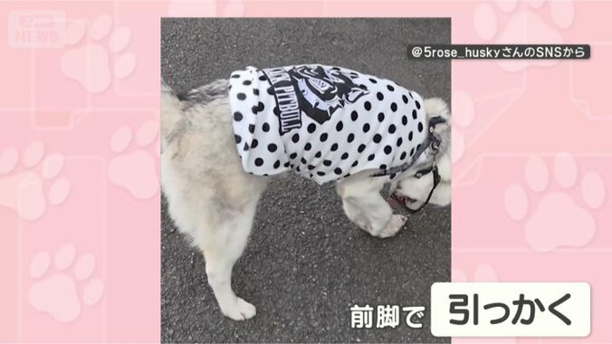 離さないからね！