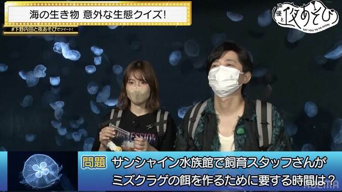 下野紘＆内田真礼が大赤面！夜の水族館で胸キュンセリフを披露『声優と夜あそび』 2枚目