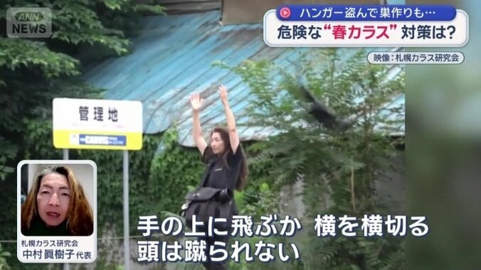 「頭は蹴られない」