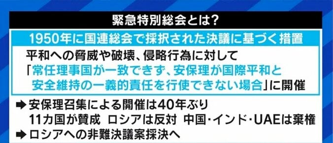 「プーチン大統領の個人資産や、ベラルーシへの速やかな制裁を」「日本政府ももっと踏み込むべきだ」国連安保理の専門家パネル委員を務めた古川勝久氏 2枚目