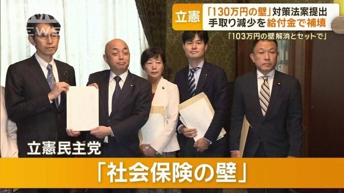 立憲と国民、異なる「年収の壁」対策