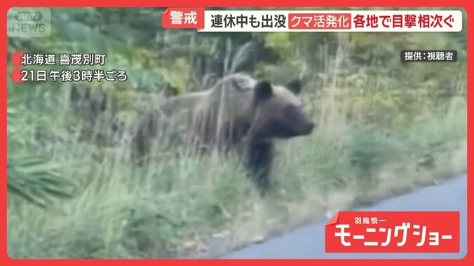 クマ活発化で警戒　SW連休中も出没　各地で目撃相次ぐ　にぎわう高尾山でも登山者警戒 1枚目
