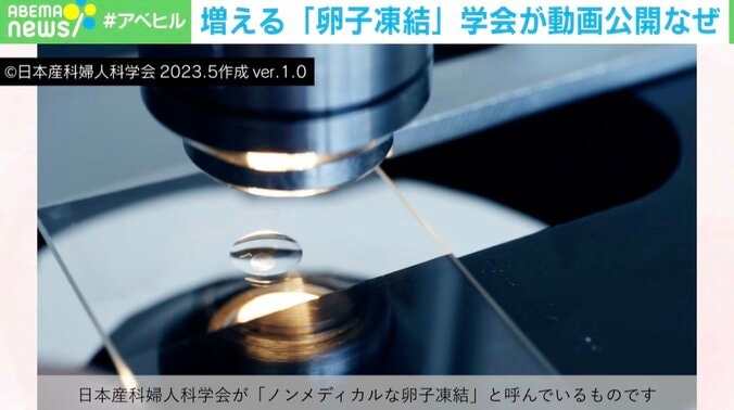 「凍結卵子」の9割は使われない!? 採卵時にもリスクが… 日本産科婦人科学会が伝えるメリットとデメリット 1枚目