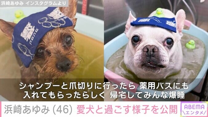 【写真・画像】浜崎あゆみ、“保護犬を迎えて幸せ”愛犬と過ごす様子を公開「あゆに出会えて良かったね」「癒やしをありがとう」と反響　2枚目