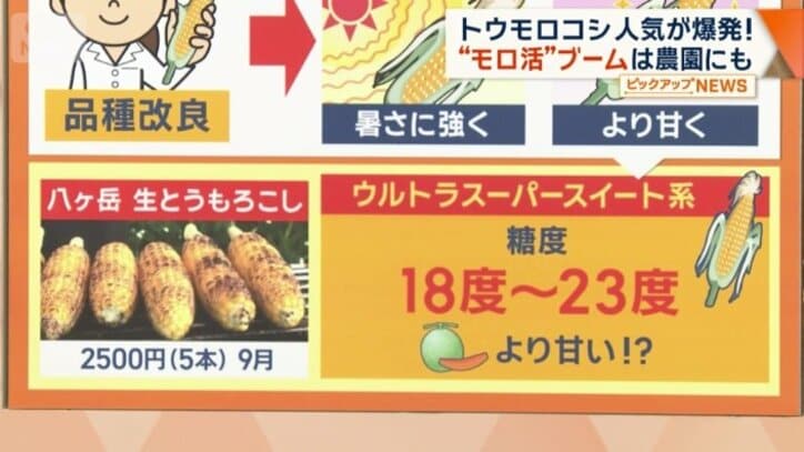 糖度が18度～23度