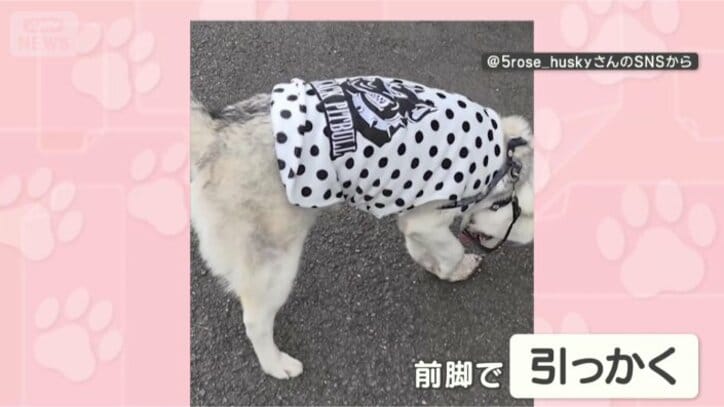 離さないからね！