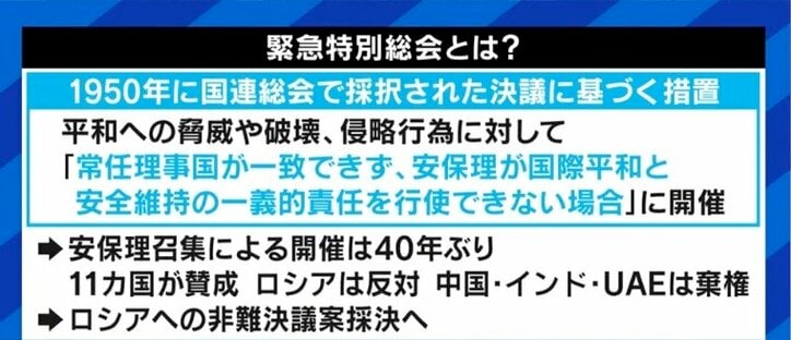 「プーチン大統領の個人資産や、ベラルーシへの速やかな制裁を」「日本政府ももっと踏み込むべきだ」国連安保理の専門家パネル委員を務めた古川勝久氏