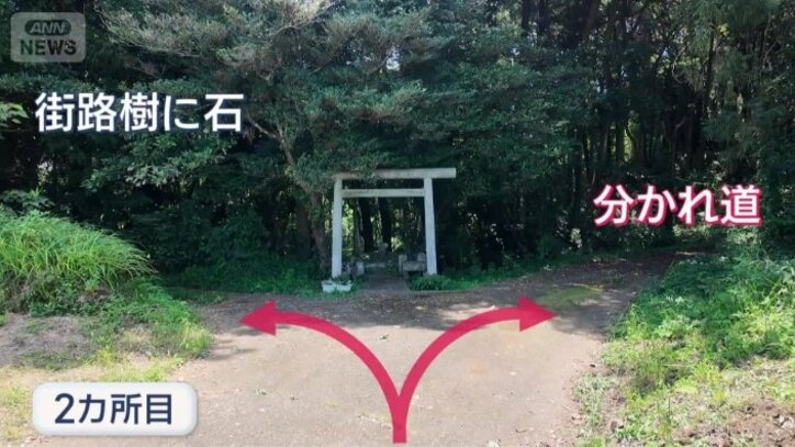 目の前が分かれ道に