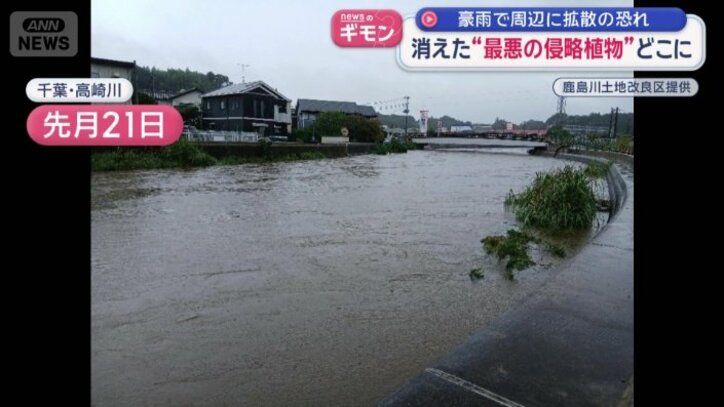 先月21日　千葉・高崎川