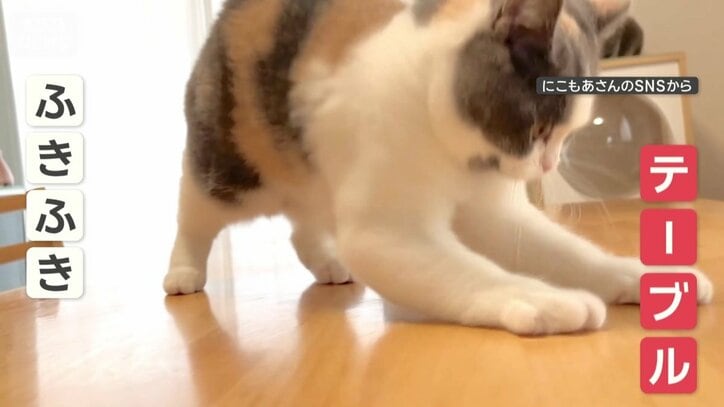 テーブルを拭き拭き