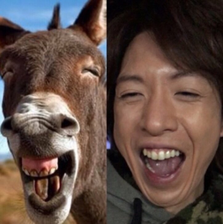 綾瀬はるかとキムタクがララポーズ？ 沙羅がものまねで再現