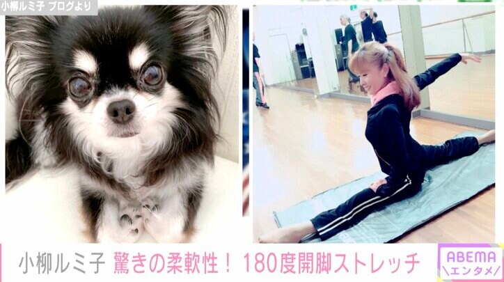 小柳ルミ子、180度開脚ストレッチ 驚きの柔軟性にファン絶賛「日々の努力を惜しまないかっこいい女性の代表」