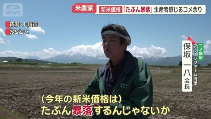 「たぶん暴落するんじゃないか」
