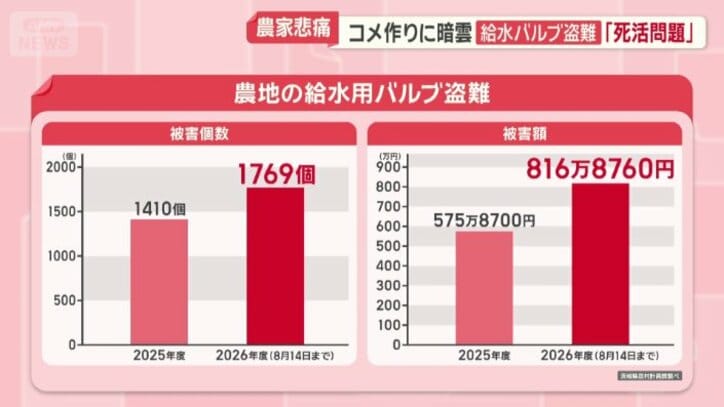 被害額は4カ月余りで昨年度1年分を上回っている