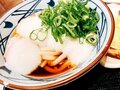 渡辺美奈代『丸亀製麺』で次男とランチを堪能「特大完食してました！」