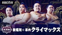 【クライマックス】大相撲LIVE 秋場所（幕内）12日目