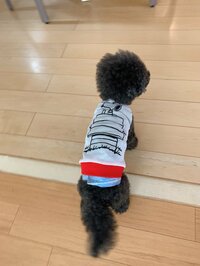 小川菜摘『スヌーピの…』