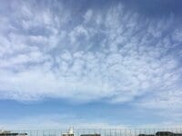 森岡茂『認知症とわかる前 ５』