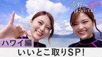 #乃木坂世界旅　今野さんほっといてよ！ - 先行番組