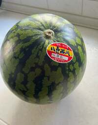 山田邦子『スイカ大好き』