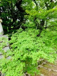 藤原紀香『楽しみ☺︎』