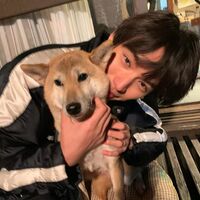 「とろーんって感じ」「可愛すぎて過呼吸」福士蒼汰、柴犬・シロにメロメロ ファン悶絶