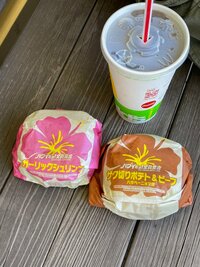 花田虎上『ハワイだよ！全員集合』