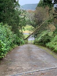 狩野英孝『被害』