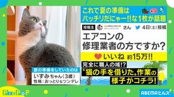 「修理業者の方ですか？」背伸びでエアコンの隙間に手を入れようとしているネコが話題 