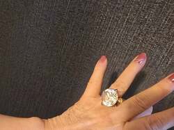  高橋英樹、喜寿のお祝いとして妻へ贈った品を公開「奥さんは大喜びでしたよ」 