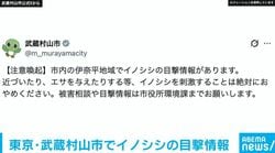東京・武蔵村山市でイノシシの目撃情報 市が注意喚起
