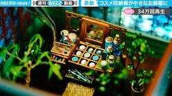ミニチュアなのに驚きの再現度！ コスメ収納箱で“小さなお部屋” 幻想的空間は「超緻密」