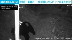 神奈川・秦野市 一度捕獲し放したクマがまた出没