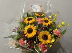 脊髄梗塞を公表・佐藤弘道、57歳の誕生日を報告「当たり前が幸せなんだと分かるようになりました」