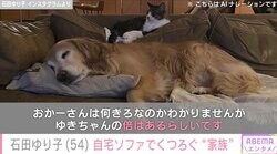 石田ゆり子（54）、自宅の巨大ソファでくつろぐ“家族”を紹介「ゆきちゃんは26.5きろです。おかーさんは何きろなのかわかりませんがゆきちゃんの倍はあるらしいです」