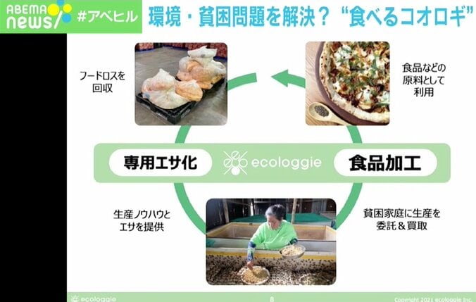 「どうしてもゲテモノの扱い、罰ゲームなどの要素が強かった」 “食べるコオロギ”の魅力、環境・貧困・食糧問題の解決へ 4枚目