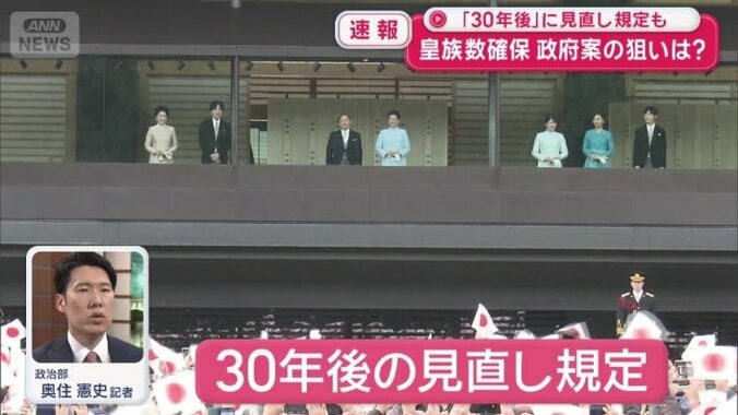 30年後の見直し規定