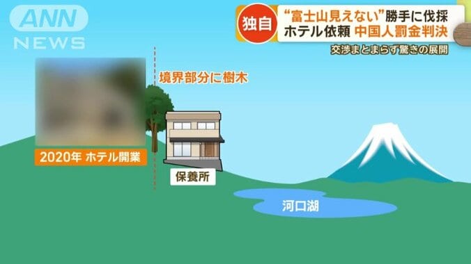 プライバシーを保つため境界部分の樹木を残す