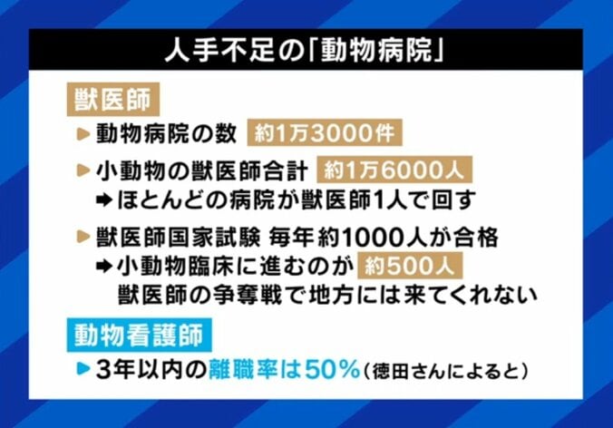 人手不足の動物病院