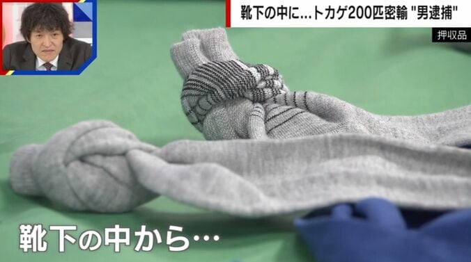 押収品