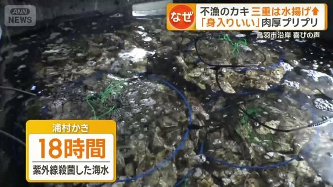 紫外線で殺菌した海水に18時間さらして浄化
