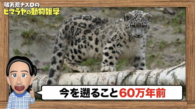 【写真・画像】　1枚目