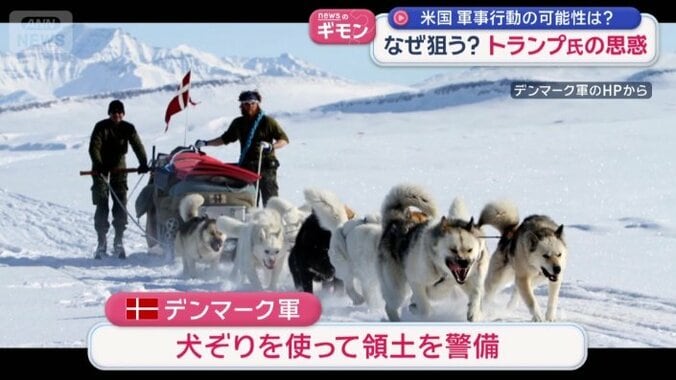 犬ぞりを使って領土を警備