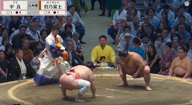 大相撲七月場所、熱戦最中“ひと際目立つ行司の姿”に熱視線「なかなか見ない」「いいデザインしてる」軍配にも注目 4枚目