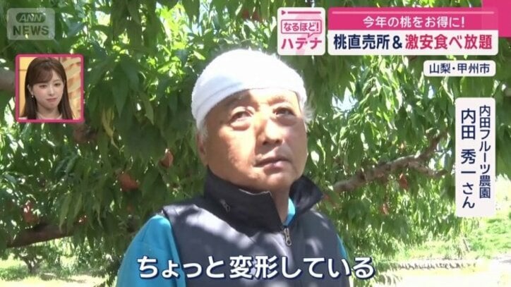 内田フルーツ農園 内田秀一さん