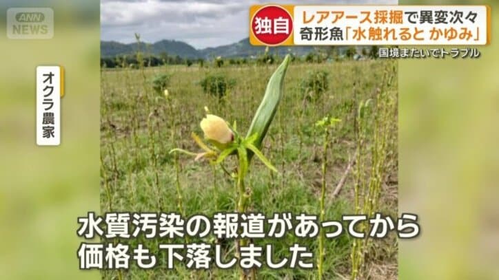 「作物の見た目が以前ほど良くない」