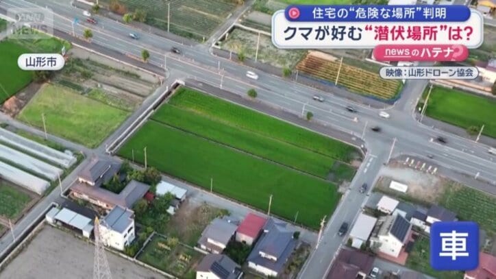 通りには行き交う無数の車